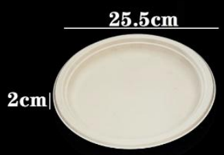 10 INCH Plate, item code P10INCH